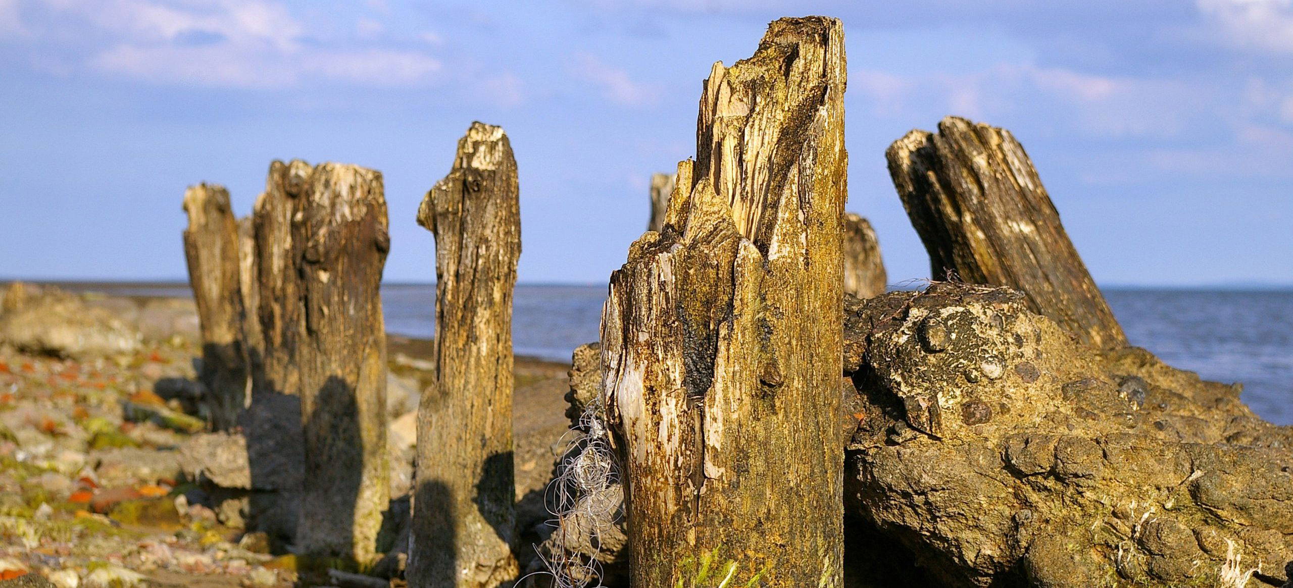 Self-Esteem Self-Esteem